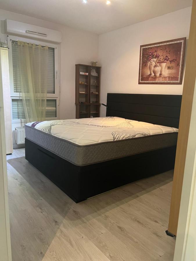 L'Alsace Autrement Apartment Soultz-Haut-Rhin Екстериор снимка